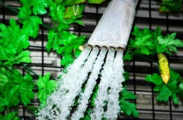 �x�W�Ŭu����-�M�u�Ŭu