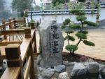 放大圖片