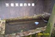 放大圖片