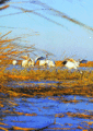 200718162134204.gif