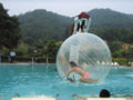 2006124172641677.jpg