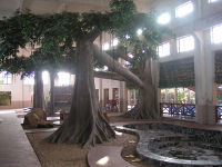 2008325143638336.jpg