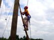 2008326124626774.jpg