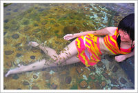 2008326131722927.jpg