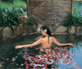2008324173455856.gif
