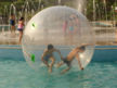 2008325165745719.jpg