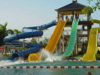 2008324173157991.gif