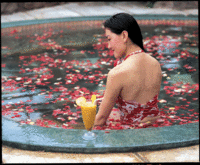 2008324173143106.gif